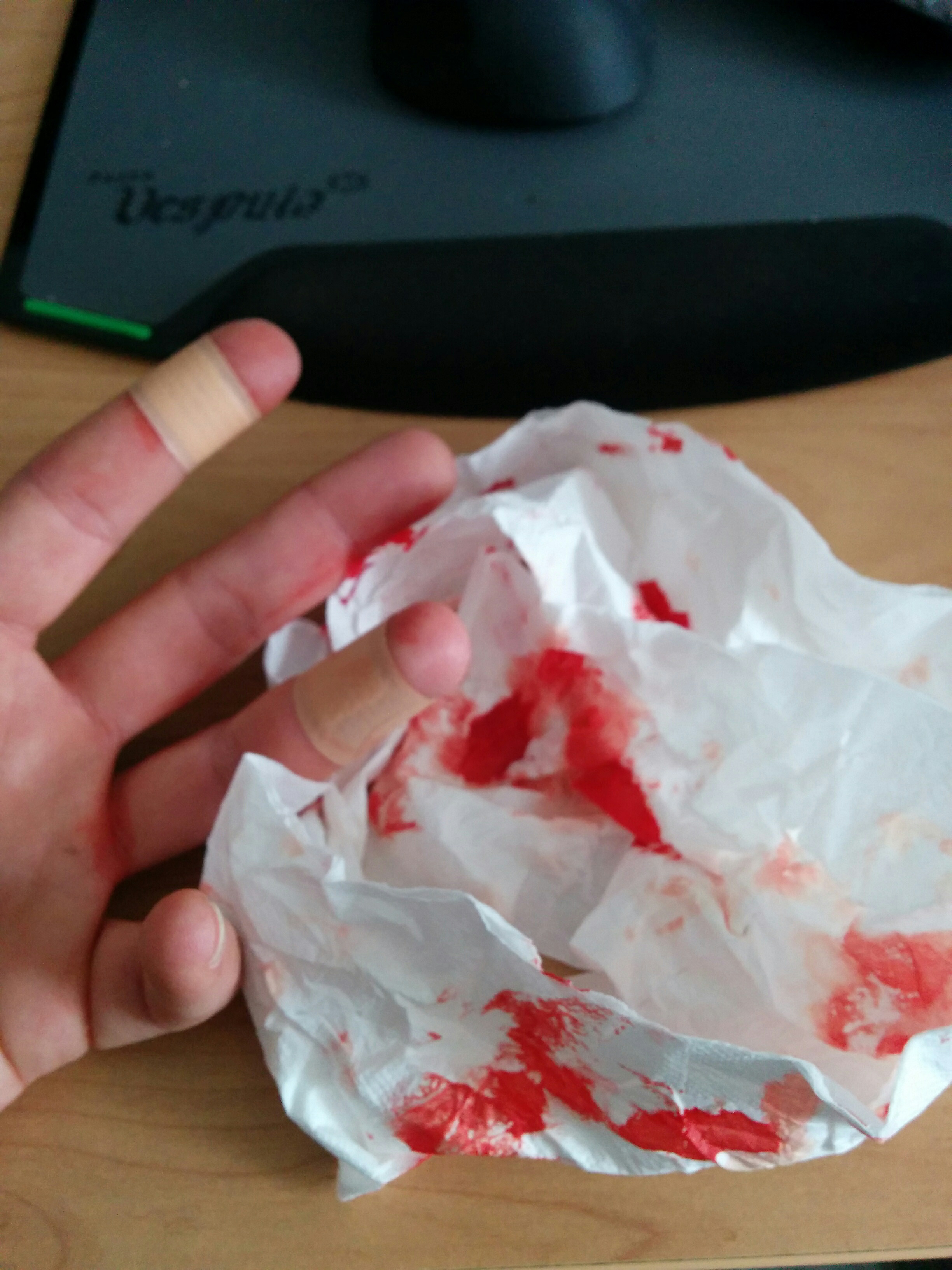 20160511 Gartenzaun 026